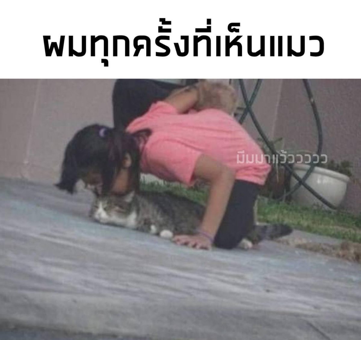 isasbenz's tweet photo. ก็มันหมั่นเขี้ยวอะ 55555555 https://t.co/xKlsF7i5Lj