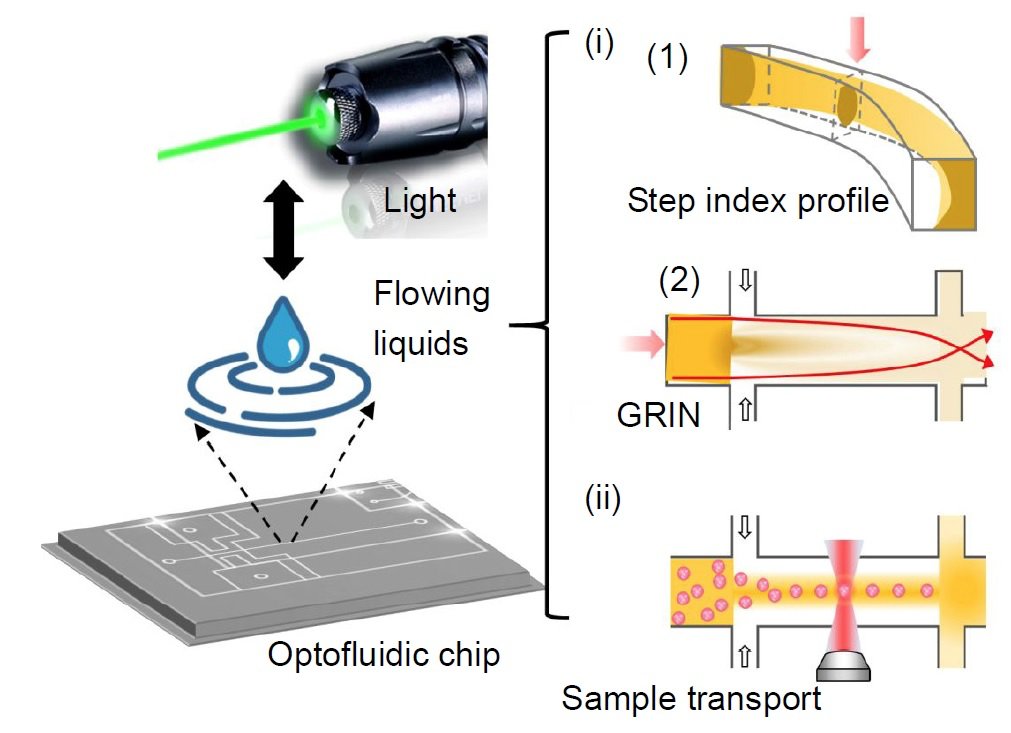OptoElectronAdv's tweet photo. #OEA_hight Optofluidics: the interaction between light and flowing liquids in integrated devices:
https://t.co/5wbZGqimWn
@WHUni_Official by Prof. Yang Yi
#Optofluidics
#Opticaldevices
#MicrofluidicChip
#HeterogeneousMedia
#LabOnChip
#FirmConviction https://t.co/QkMHAaNucg