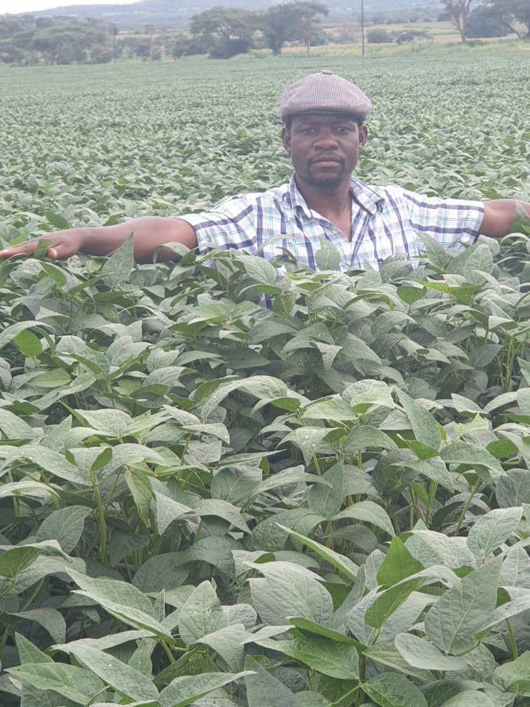 ZanuPFNamibia's tweet photo. Farmers are doing it for Zimbabwe✊🏿 https://t.co/RdC5lkrXIH