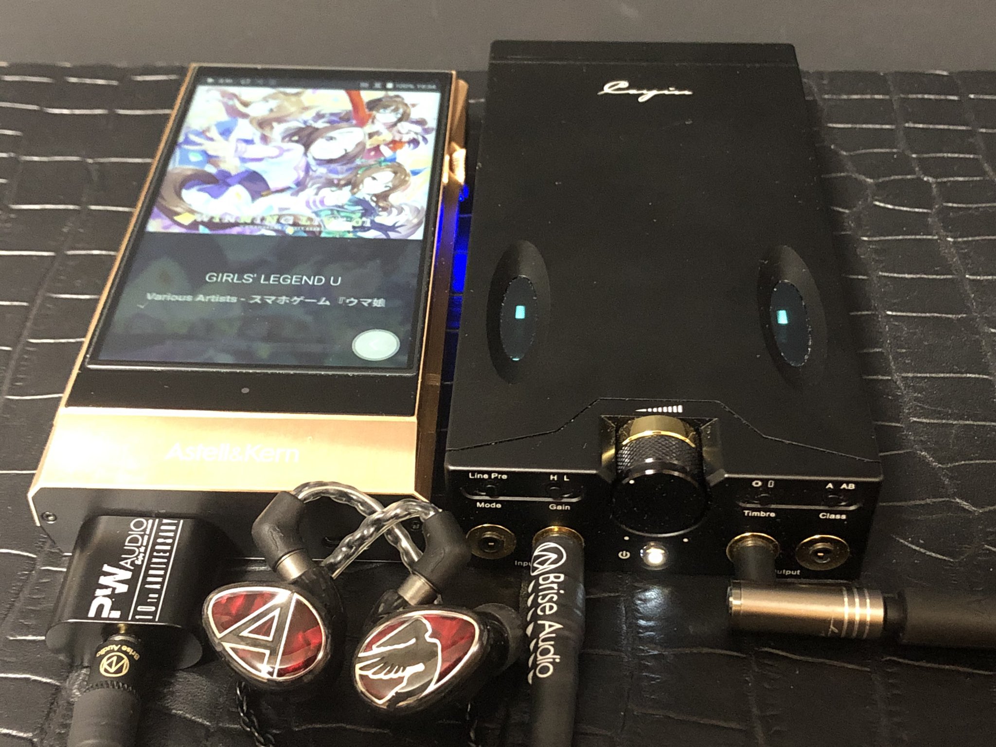 国内配送】 Brise Audio YATONO-MINI-LE ミニミニケーブル 4.4mm to