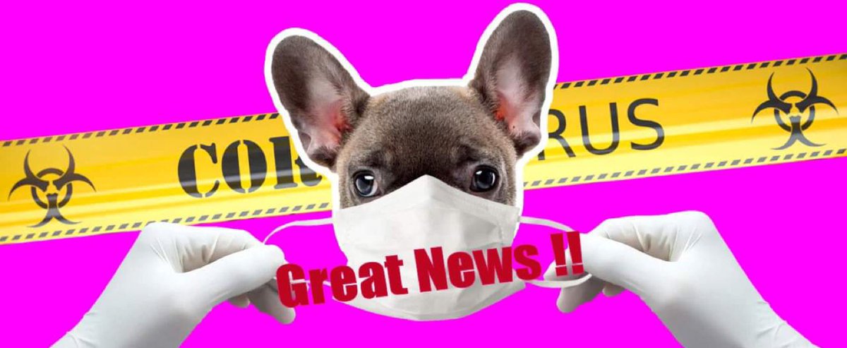 PawzitiveP's tweet photo. Only three weeks to go before our puppy courses start.  Are you ready? #puppy #puppies #puppylove #puppytraining #dogtraining #norfolk #suffolk #cutepuppies https://t.co/uBHop05LLE