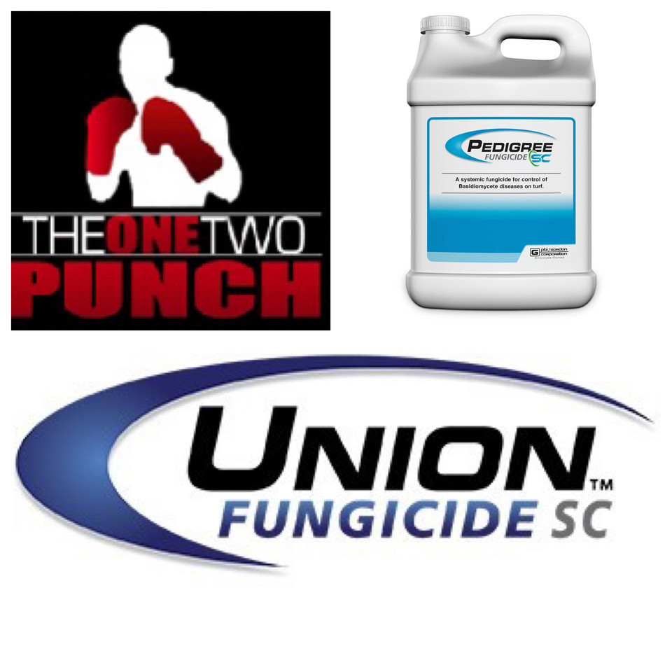 jfcanning's tweet image. 1️⃣🥊2️⃣🥊 PEDIGREE &amp;amp; UNION #fungicides @pbigordonturf ➡️ FAIRY RING🍄➕ Patch Diseases #KeepEmClean #First Apps