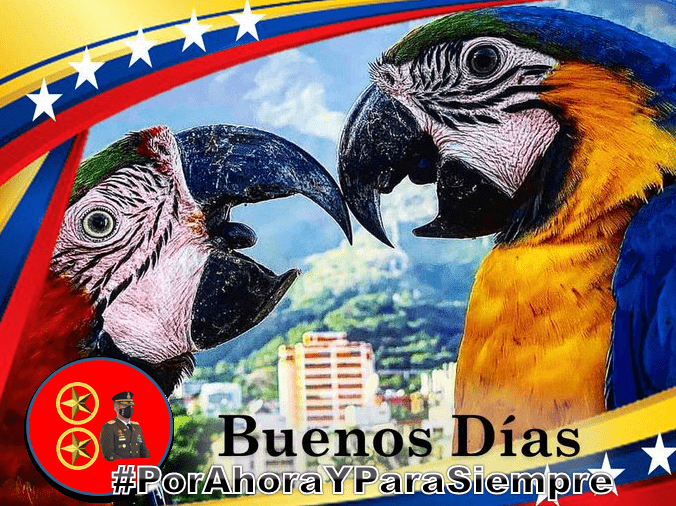 Vamos con La Et 
#RadicalContraLaCovid19 #DescuidarseEsContagiarse <a href="/gendarmeria53/">Alexis J.Cabrera 20k 😎🐳🍉</a> <a href="/RRBA2032/">♈Fucho🔥</a> <a href="/Joanagonzalez32/">González joa🥰♥️guerrera activa ♥️😍</a> <a href="/Ney_f18/">Neyda Fuenmayor</a> <a href="/laimarna/">🇻🇪Laimar🇻🇪</a> <a href="/eduardcor1/">Ing.🄴🄳🅄🄰🅁🄳🄾</a> @Mercede07316003 <a href="/AlbertR48083453/">Albert Robles</a> <a href="/DracuTuitera/">🦇 🅳🆁🅰🅲🆄 🦇</a> <a href="/EverPsuv/">🖤🙏🖤 🇻🇪 EverPsuv</a> <a href="/Licha19851/">Licha1985</a> <a href="/ch_cdg/">🐼𝑪𝒉𝒆𝒐 𝑪𝒂𝒏𝒅𝒂𝒏𝒈𝒂 16.2K🐼</a> <a href="/JVRO1404/">Vanessa Rodríguez</a> <a href="/JoseLuisReina19/">❇️👣Jose Luis Reina👣❇️</a> <a href="/EstrellaDeOshun/">Reyna  Oshun</a> <a href="/irr644/">Iris R⚖✒de Rodríguez(desde🏡)🌹🍃</a>