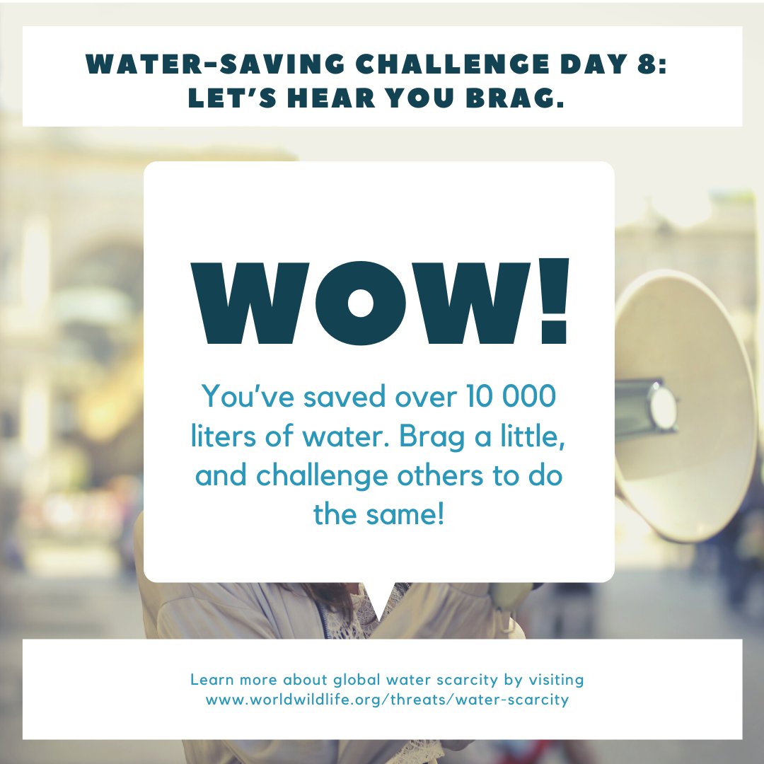 Climate First South Africa tweet media