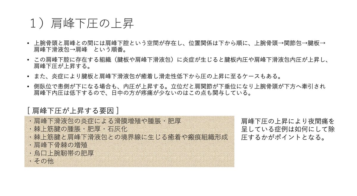 肩関節 肩関節