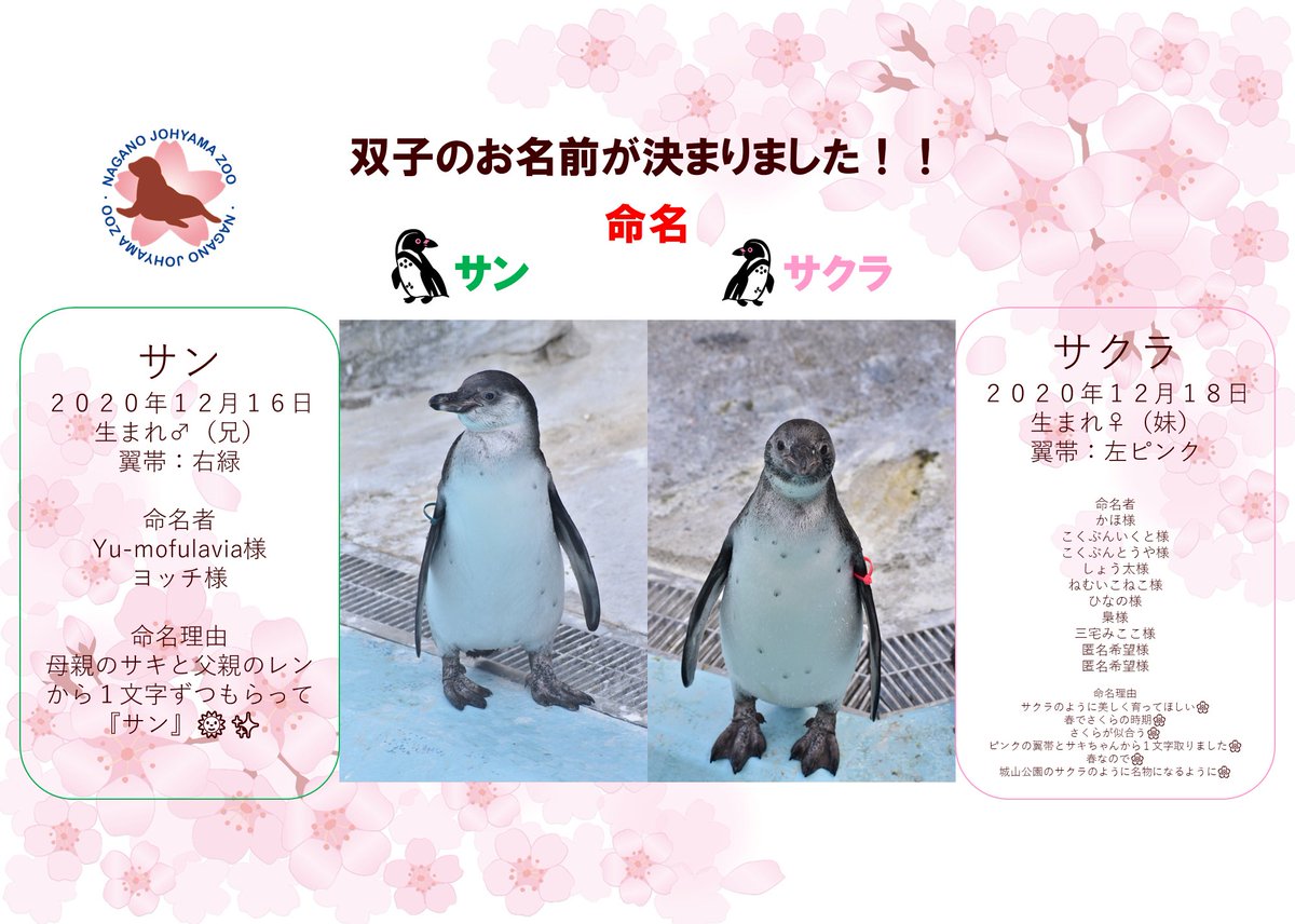 プリプリで可愛い