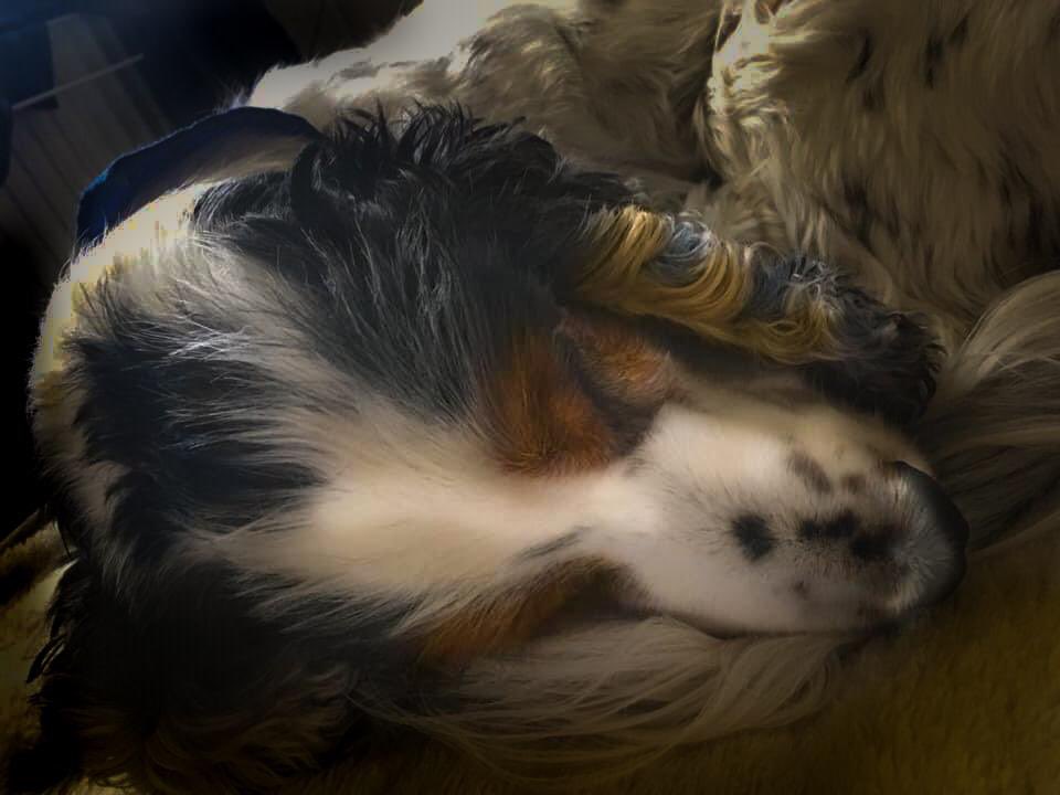 imwittering8's tweet photo. This is how I plan to spend my day. https://t.co/JReF0qrCMC