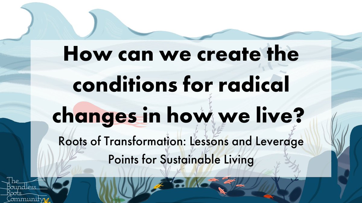 Boundless Roots tweet media