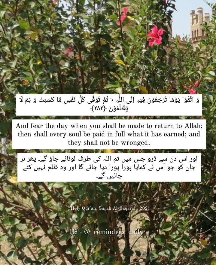 _RemindersDaily's tweet photo. وَاتَّقُوۡا یَوۡمًا تُرۡجَعُوۡنَ فِیۡہِ اِلَی اللّٰہِ ٭
ثُمَّ تُوَفّٰی کُلُّ نَفۡسٍ مَّا کَسَبَتۡ وَ ہُمۡ لَا یُظۡلَمُوۡنَ ﴿۲۸۲﴾

And fear the day when you shall be made to return to Allah; then shall every soul be paid in full what it has earned; and they shall not be wronged. https://t.co/Kst78ONHkF
