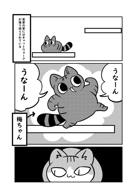 実家の猫の梅ちゃんは障害物があると進めなくなる#ぬら次郎日記 #猫パン日記 