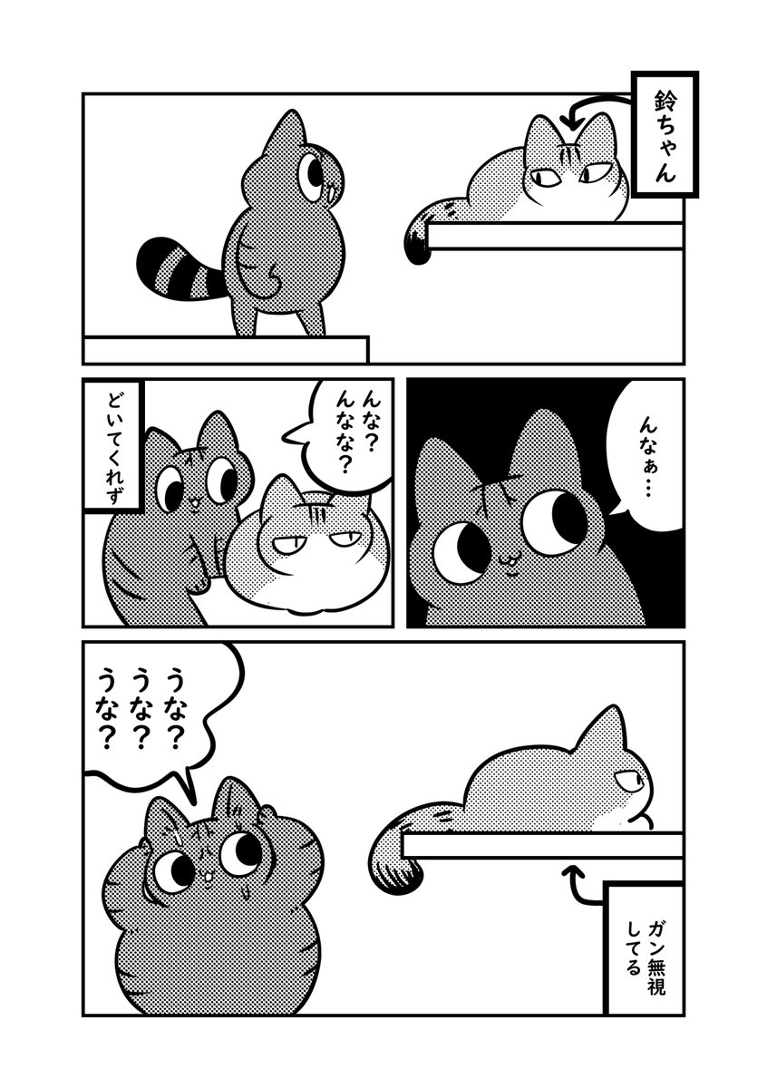 実家の猫の梅ちゃんは障害物があると進めなくなる

#ぬら次郎日記 #猫パン日記 
