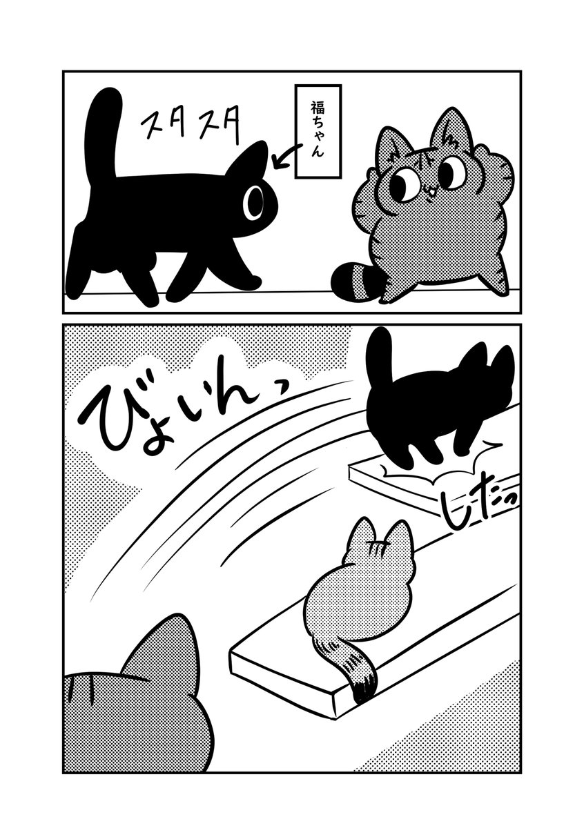 実家の猫の梅ちゃんは障害物があると進めなくなる

#ぬら次郎日記 #猫パン日記 