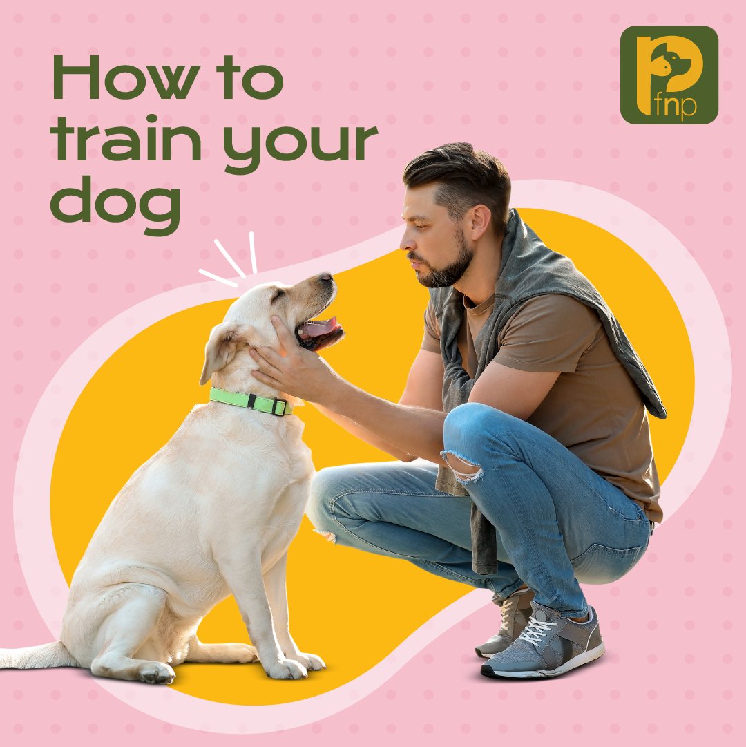 FNPPETS's tweet photo. Simple tips to help you train your pup in a better, kinder way. Got any questions on dog training? Send us a DM or comment below! 

#pets #petparents #petsofindia #petlovers #doggos #cattos #dogs #cats #petsarefamily https://t.co/jHXD08pcLd