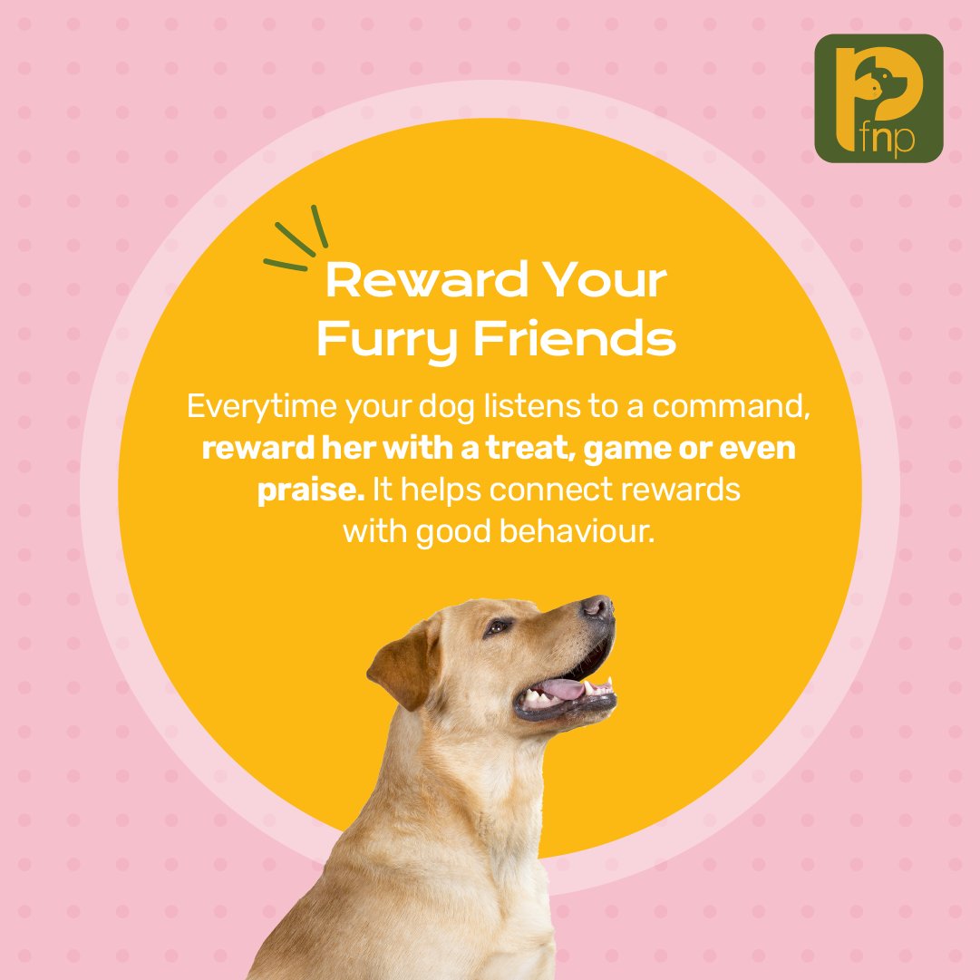 FNPPETS's tweet photo. Simple tips to help you train your pup in a better, kinder way. Got any questions on dog training? Send us a DM or comment below! 

#pets #petparents #petsofindia #petlovers #doggos #cattos #dogs #cats #petsarefamily https://t.co/jHXD08pcLd