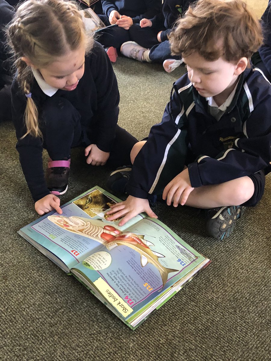 SibfordJS's tweet photo. Finding non-fiction features in #SibfordYear1and2 today. #informationtexts #handson #teamwork #SibfordJS #MondayMorning https://t.co/BGMMVCqlLE