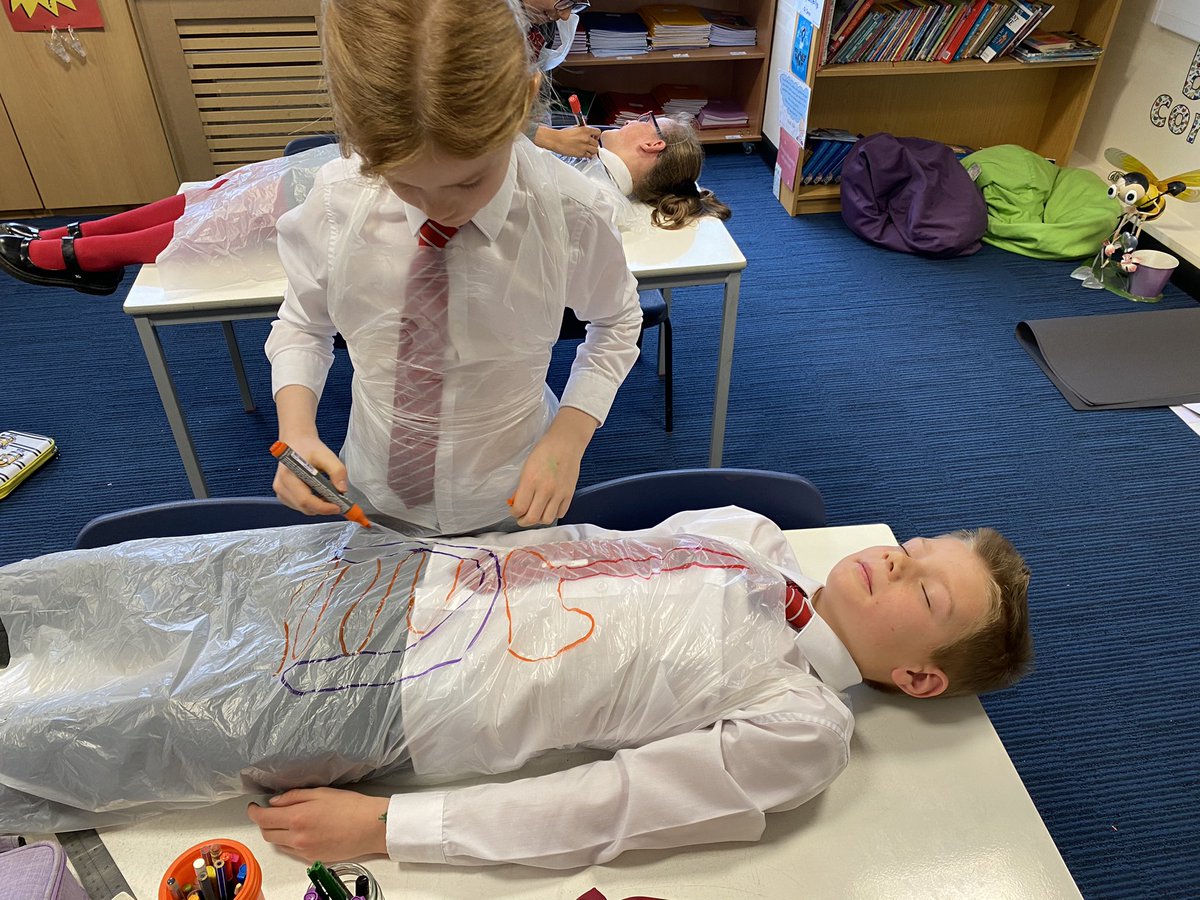 BGS_LowerSch's tweet photo. Year 4 enjoyed turning themselves inside out to track the route our food takes in the body. They even helped Miss Jones track her food! #BGS_Science #getinvolved #teamwork https://t.co/QkwNwYdHEc