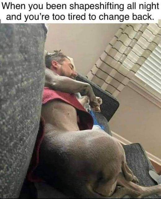 A shapeshifter. 😀