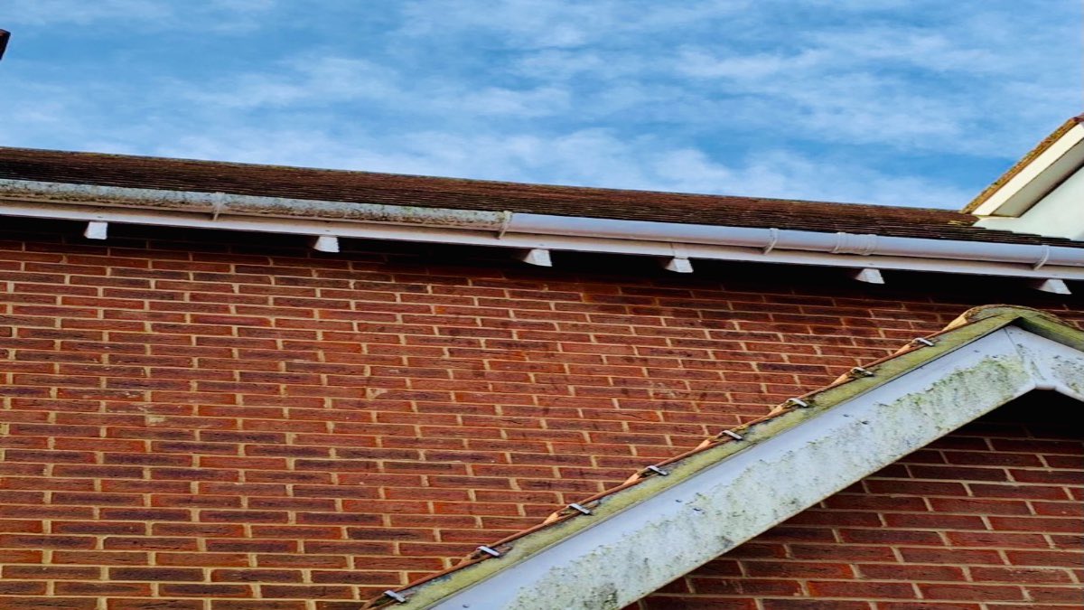 KentWindowClean's tweet image. Is it too high for you to clean the moss off that Facias/Soffit/Gutters?

Let us help you 👌 
Reasonable and friendly quote straight away.
windowcleanercanterbury.co.uk/request-a-quote

#Canterbury #Whitstable #HerneBay #Thanet #Sandwich