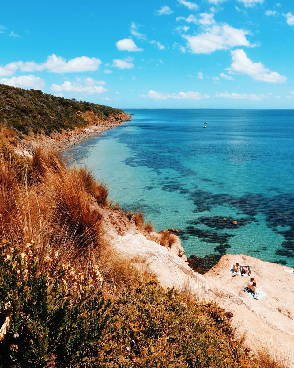 We have to say Melbourne, your beaches are on point 👌 

IG/helena.klapas snapped this while enjoying the sunshine at Mount Martha on the #MorningtonPeninsula, home to the Boon Wurrung Aboriginal people.

#seeaustralia #visitmp #visitvictoria #holidayherethisyear