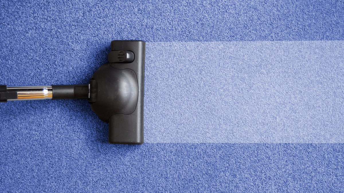 archwayfac's tweet photo. Did you know we offer affordable carpet cleaning? Our team has expert knowledge of carpet cleaning so we can guarantee a deep down clean that will leave your carpets clean and fresh. 
#CleaningCompany #Exeter #Devon https://t.co/VR56wkLxm8