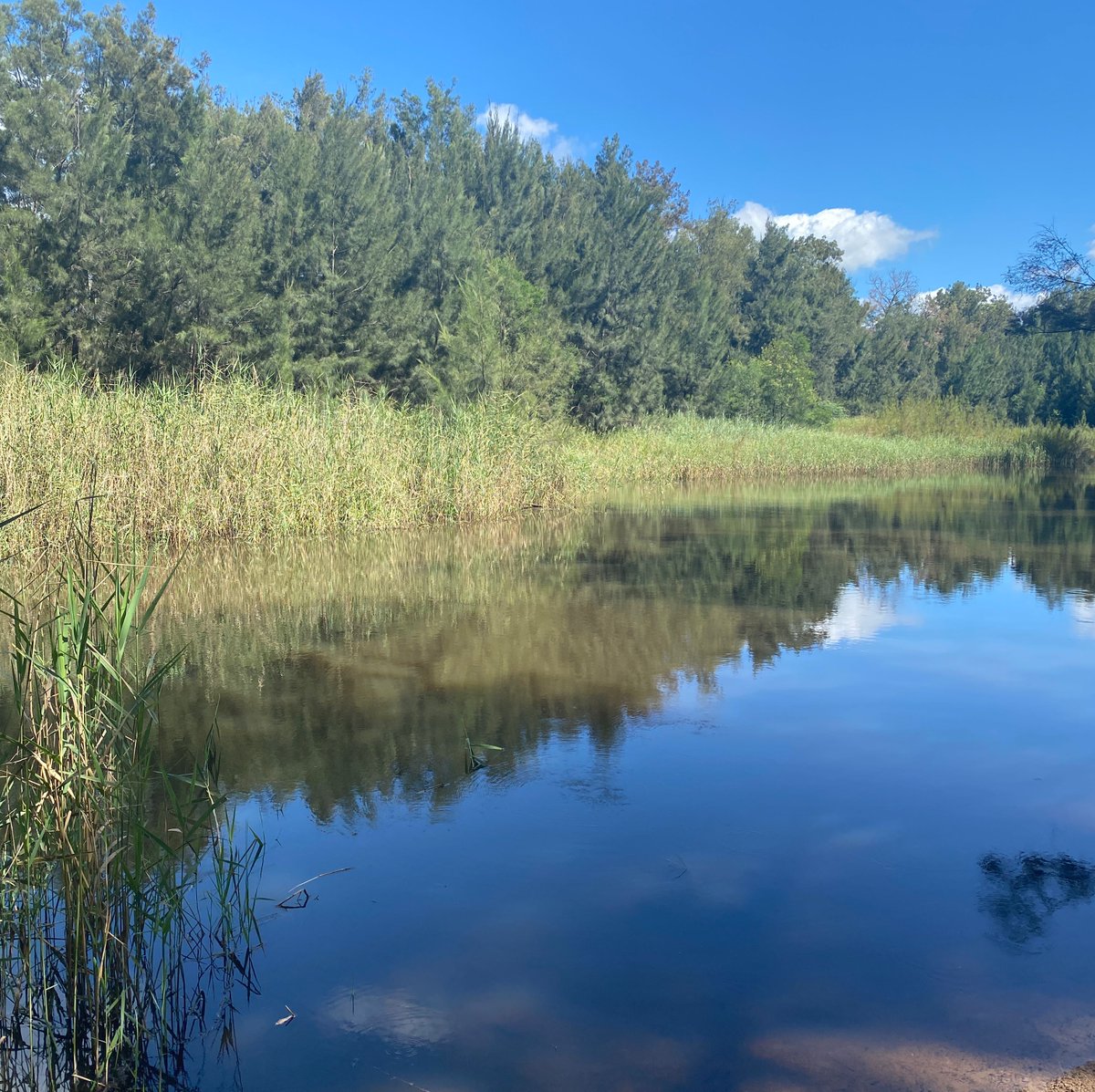 It’s World Water Day! 
A nod to all our amazing waterways &amp; people who care for them. 
And our thoughts &amp; love go to our friends who are experiencing flooding in NSW at the moment! Stay safe &amp; take care of yourselves! 
#waterbugblitz #waterbugs #cItizenscience #catchmentsmatter