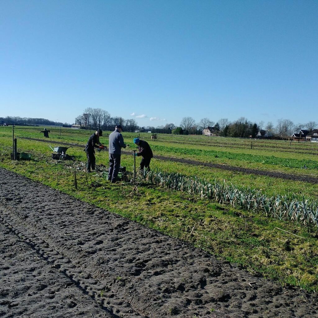 HBDeGrooteHeide's tweet photo. We hebben nu echt de laatste resten van het afgelopen seizoen geoogst: één bed boerenkool, één bed winterpenen en een half bed kleine prei.
Op naar de lente!! ☀️
#laatsteoogst #vers #versvanhetland #biologisch #herenboeren #oogsten #boerenkool #winterp… https://t.co/VUvP5Zm4Y0 https://t.co/PFHYAHQwqJ