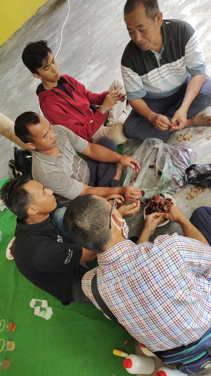 Syawaludin3687's tweet photo. Alhamdulillah, turunan dr jamu bumi sdh di turunkan di lumbung bumi JATIM
Satu satu naik kelas, utk kemandirian dan kesejahteraan petani
Belajar dan terus berjamaah utk mendapatkan sesuatu yang terbaik dlm kebaikan agar menjadi orang beruntung
#PS200 #JamuBumi https://t.co/6MZaunpoID