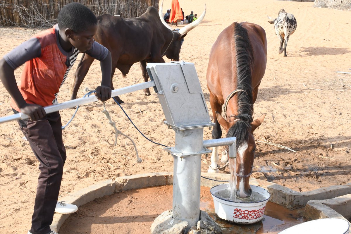 MCRPYOBE1's tweet photo. Today is World Water Day! 

MCRP Yobe PCU, so far implemented the provision of 10 new solar powered boreholes, 170 new hand pumps across 17 Yobe LGAs, rehabilitation of 22 solar powered boreholes with livestock drinking trough and  21 solar powered boreholes with reticulation. https://t.co/vpFGfyxCmn