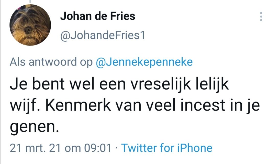 Jenneke van Wijngaarden. tweet media