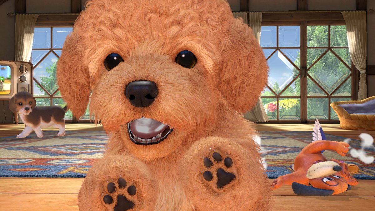 桜井 政博 Masahiro Sakurai 05年のきょう Nintendogs 発売 スマブラのアシストは X がラブラドールレトリーバー For がフレンチブル Sp がトイプードル ステージに出るのは ビーグル トイプードル 柴犬 ジャックラッセルテリア ゴールデン 桜井 政博 Masahiro Sakurai 05年のきょう Nintendogs 発売 スマブラのアシストは X がラブラドールレトリーバー For がフレンチブル Sp がトイプードル ステージに出るのは ビーグル トイプードル 柴犬 ジャックラッセルテリア ゴールデン