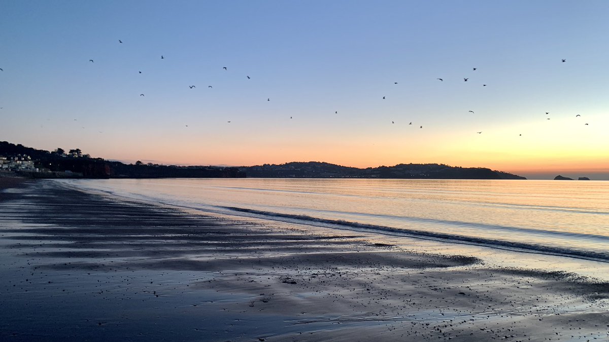 BeardsmoreTim's tweet photo. Dawning of a new day 🌄❤️🙏🏻@EnglishRiviera @TorBayHarbour @GreatDevonDays @DPT_NHS @DPT_Jobs 
#earlymornings
#getoutside 
#beachlife
#Mindfulness https://t.co/3L1onypL77