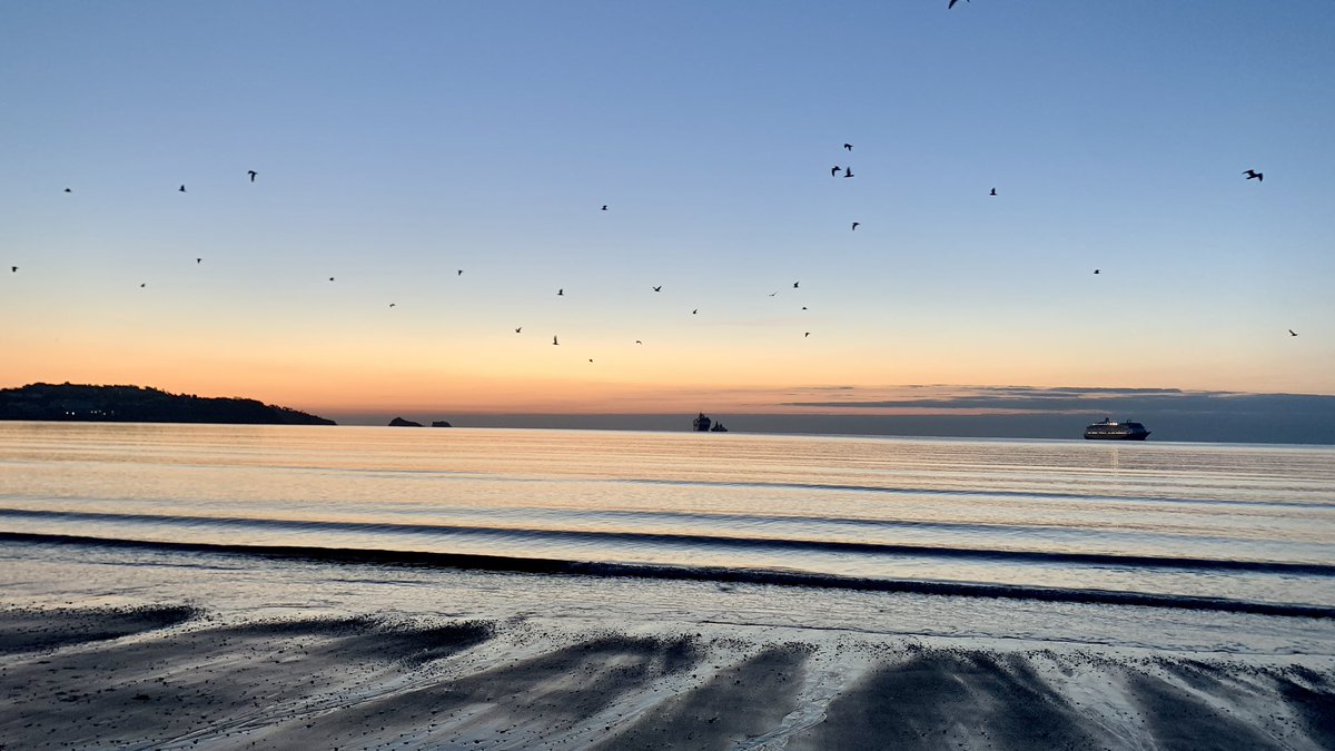 BeardsmoreTim's tweet photo. Dawning of a new day 🌄❤️🙏🏻@EnglishRiviera @TorBayHarbour @GreatDevonDays @DPT_NHS @DPT_Jobs 
#earlymornings
#getoutside 
#beachlife
#Mindfulness https://t.co/3L1onypL77