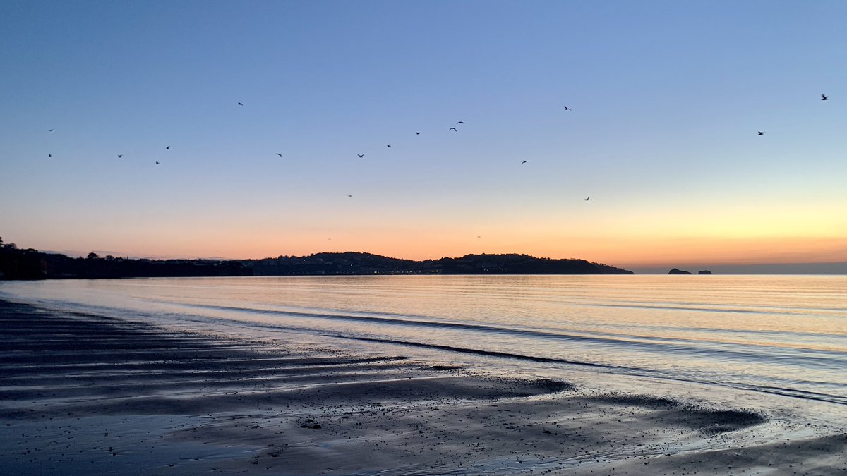 BeardsmoreTim's tweet photo. Dawning of a new day 🌄❤️🙏🏻@EnglishRiviera @TorBayHarbour @GreatDevonDays @DPT_NHS @DPT_Jobs 
#earlymornings
#getoutside 
#beachlife
#Mindfulness https://t.co/3L1onypL77