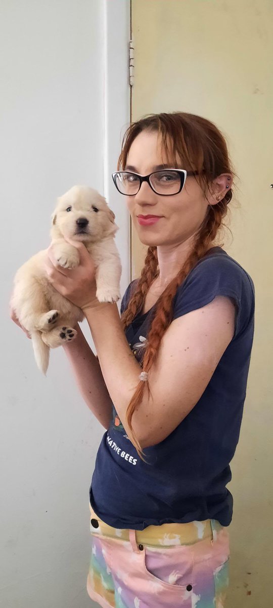 BeeBabette's tweet photo. So cute. So distracting 😂😂 #puppies #welcomedistraction @AcademicDilemma @ivorytowerBS @AcademicChatter #AcademicChatter https://t.co/bcbJL3S9GL