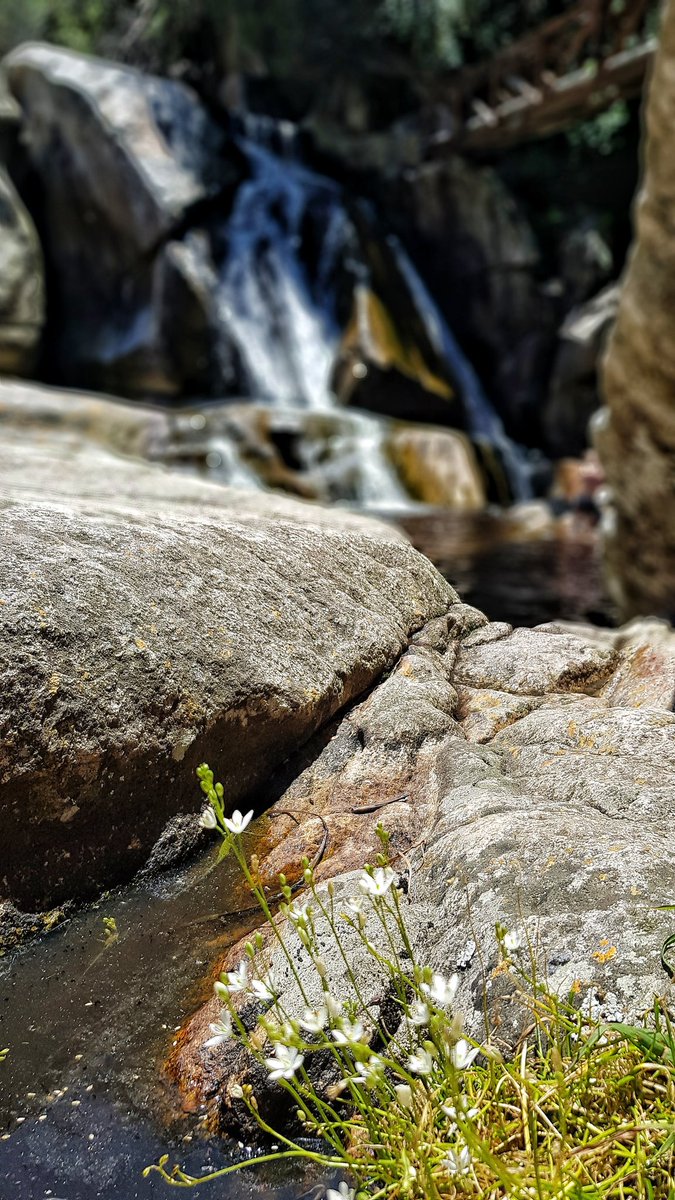 Water is not a commodity – water is life. If we destroy our water sources, we destroy future generations right now. 
#SadhguruQuotes <a href="/SadhguruJV/">Sadhguru</a> #WorldWaterDay2021 <a href="/Water/">Water.org</a> 
<a href="/GardenRoute_SA/">Garden Route SA</a> <a href="/gotosouthafrica/">VisitSouthAfrica</a>