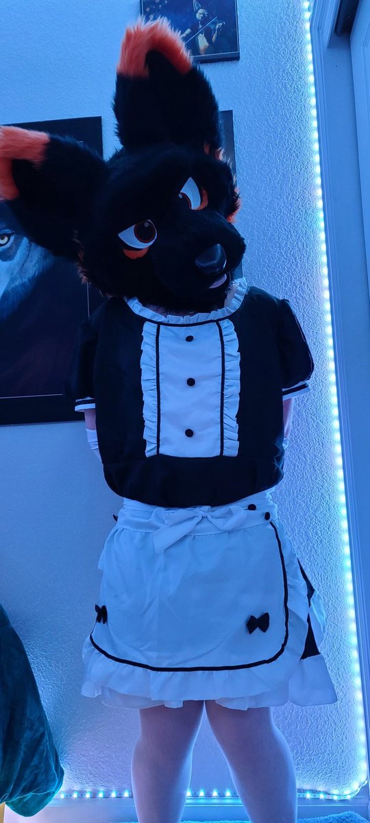 CyrinWolfAD's tweet photo. Today marks 2 weeks straight of being locked up in my cage! I think its the longest stretch I've done? Definitely super pent up... Who wants to help a needy wuuf with that? https://t.co/gbgrhmncQu