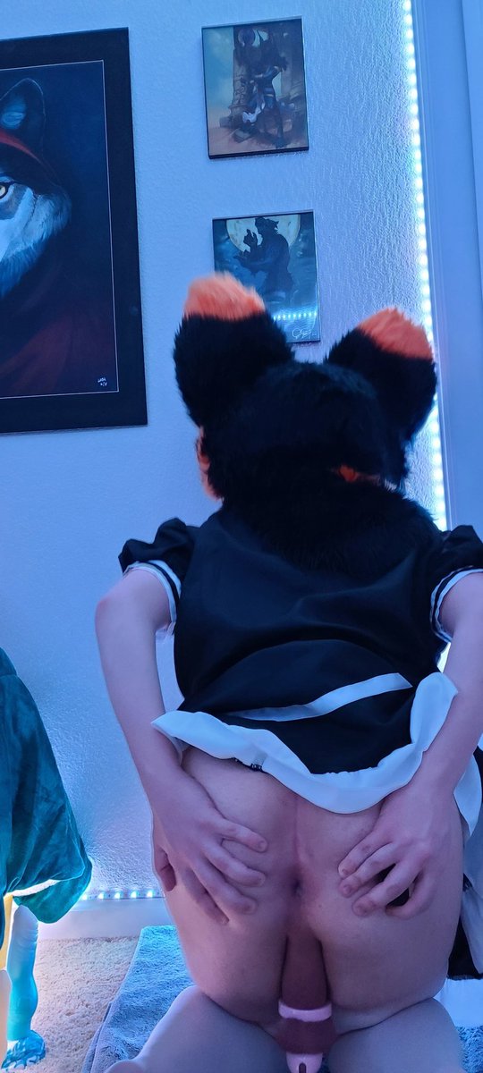 CyrinWolfAD's tweet photo. Today marks 2 weeks straight of being locked up in my cage! I think its the longest stretch I've done? Definitely super pent up... Who wants to help a needy wuuf with that? https://t.co/gbgrhmncQu