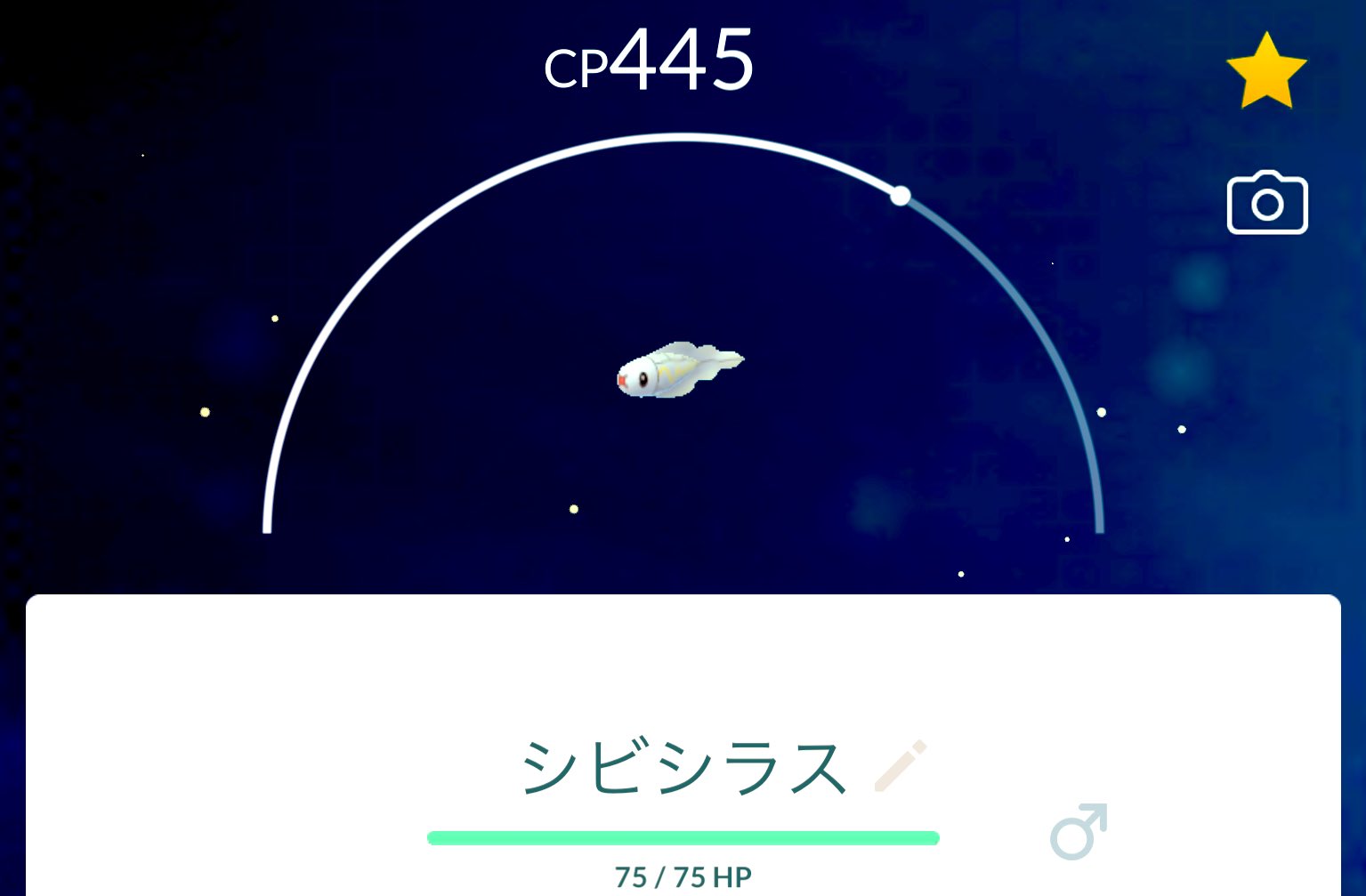 シビビール Twitter Search Twitter