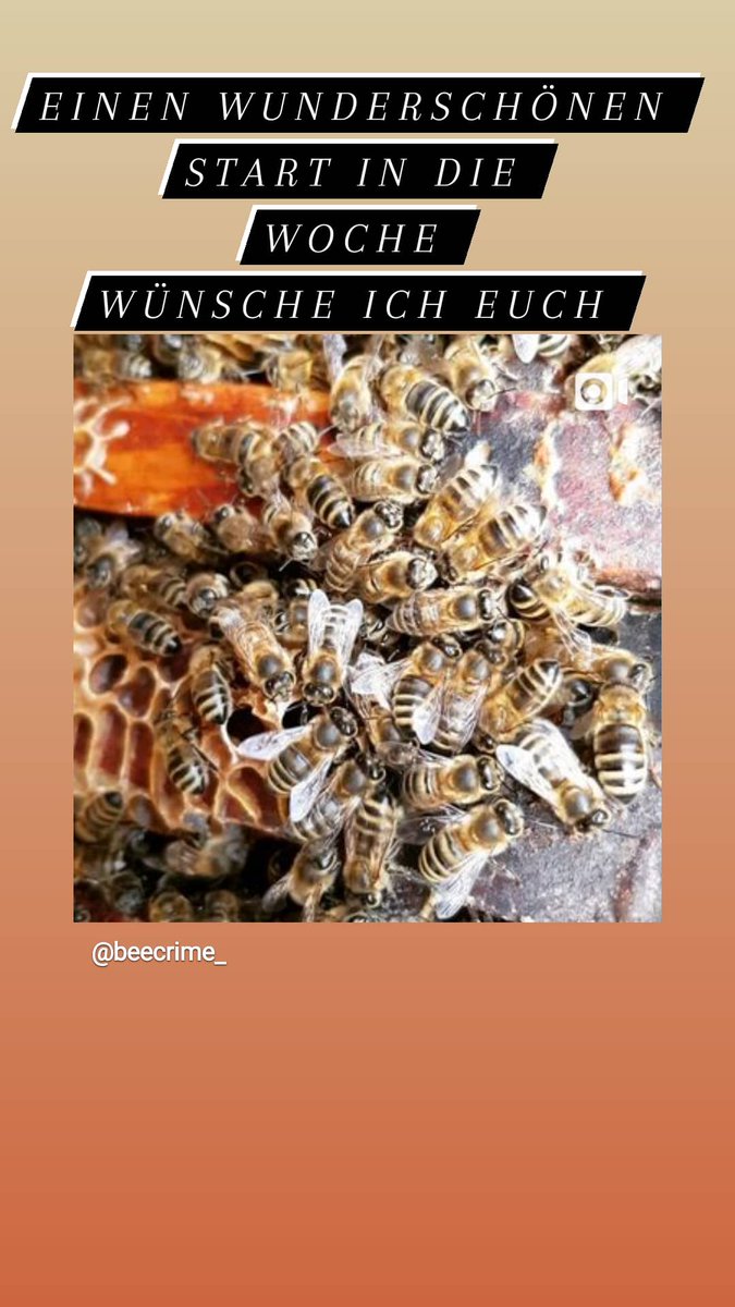 beecrime_tv's tweet photo. Guten Morgen
#twitchstreamer #twitchaffiliate #twitchtv #StreamerCommunity #StreamerNetwork https://t.co/518OcWBowz