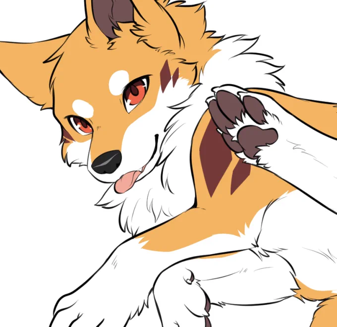 いぬ wip 