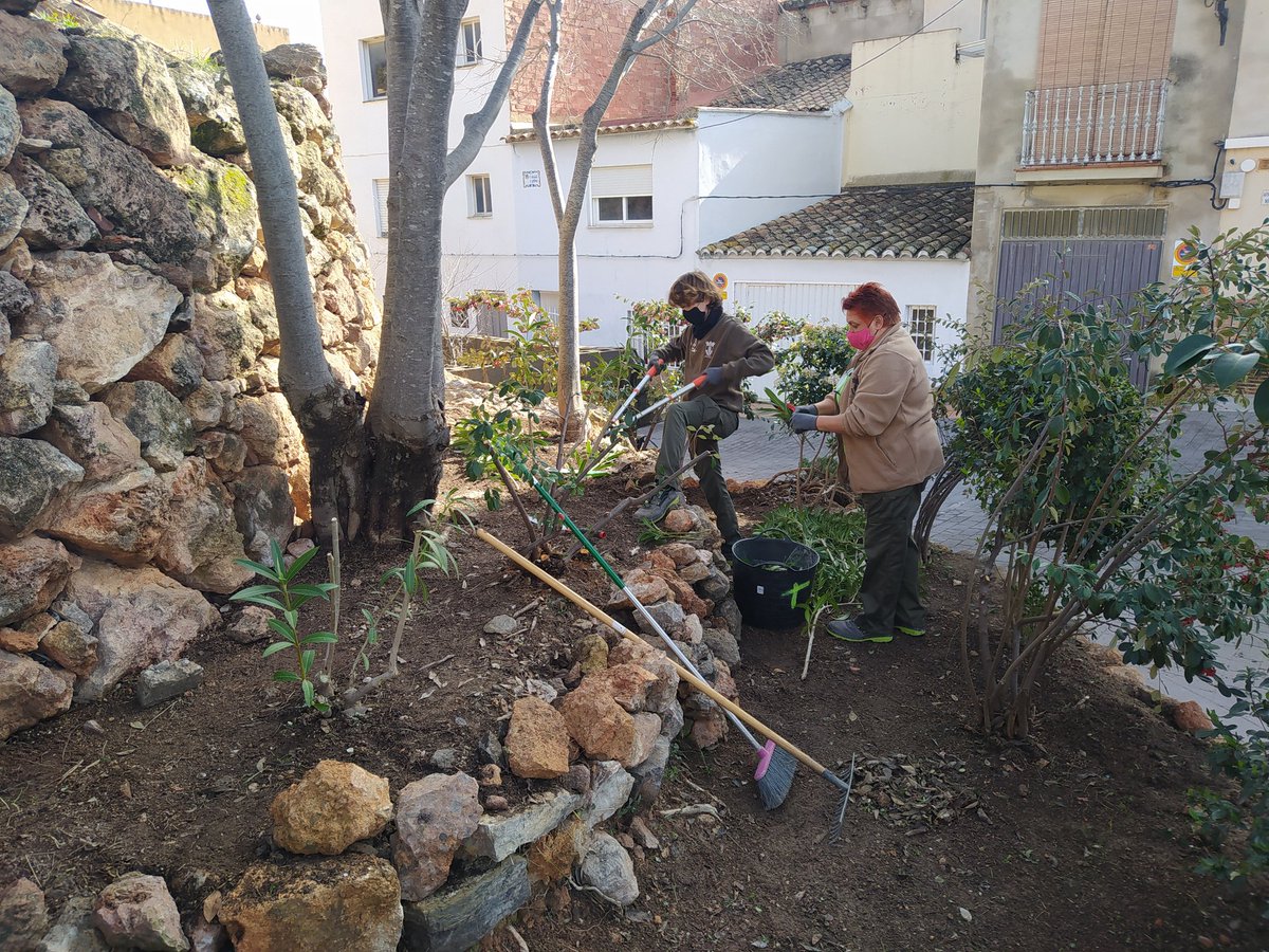 JuanRaGranados's tweet photo. Labores de mantenimiento en jardines 🌼 y zonas verdes 🌱 👉 pueblo bonito 

#Jardinería #formación #etcote #practicaprofesional #tallerempleo #labora #valldealmonacid #plantas 

https://t.co/j9mq2Q4JhX https://t.co/qzbIHTHozt