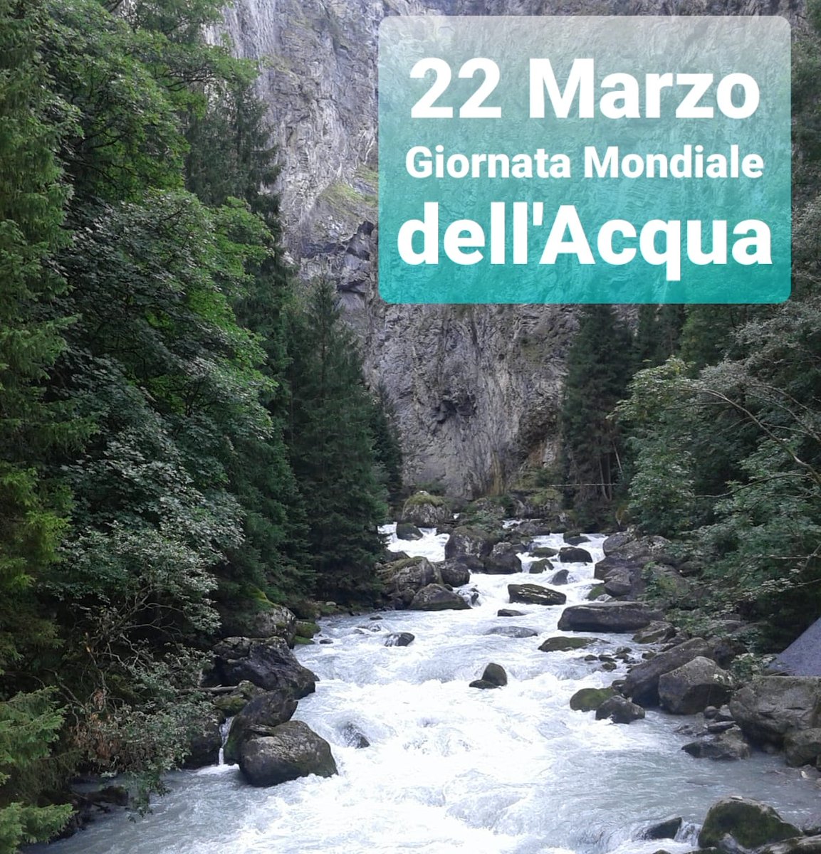 gardendesign_it's tweet photo. #22Marzo #GiornataMondialeDellAcqua #acqua #water #WaterDay2021 #waterday https://t.co/8CRzFqzf1K