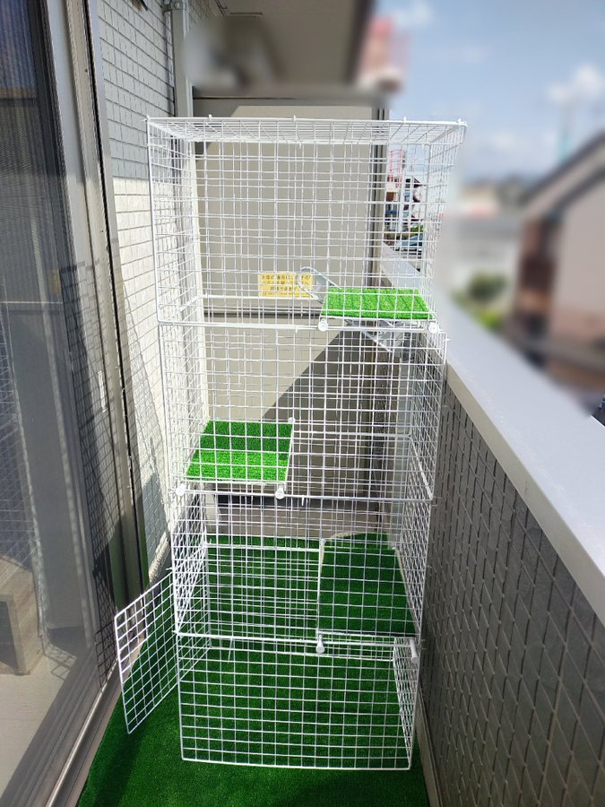猫の遊び場にベランダはok ケージを用いて快適な場所を提供しよう