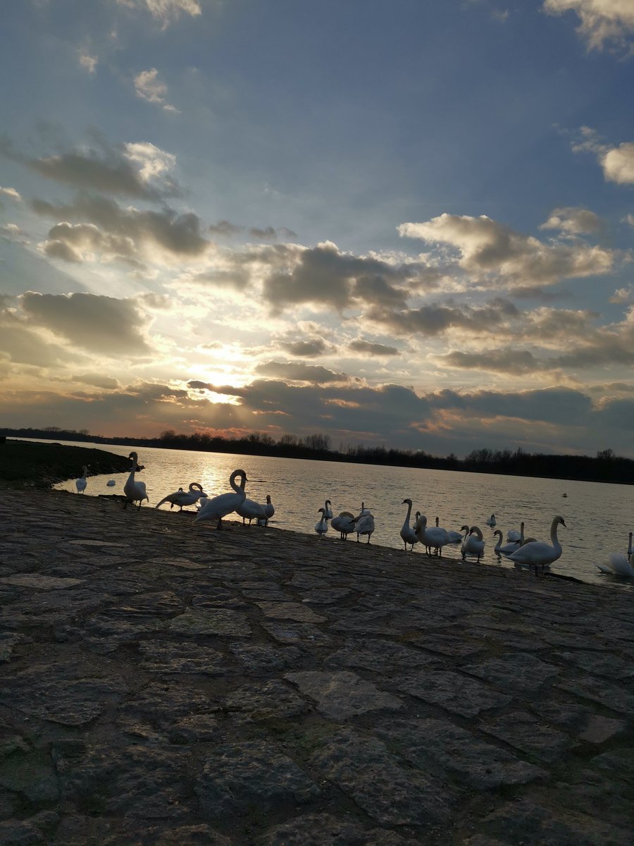 TyVeX_TV's tweet photo. Moin moin Zusammen #twitch, #Twitter, #youtube, 

Ich wünsche Euch einen tollen #wochenstart,
einen #moment alles vergessen.

Somit mit gestärkter #karft und gutem #gegenwind in die neue Woche! Wie geht's Euch? 

#good #morning #monday #community #talk #rhein #pic #picoftheday https://t.co/mrLoDD457O