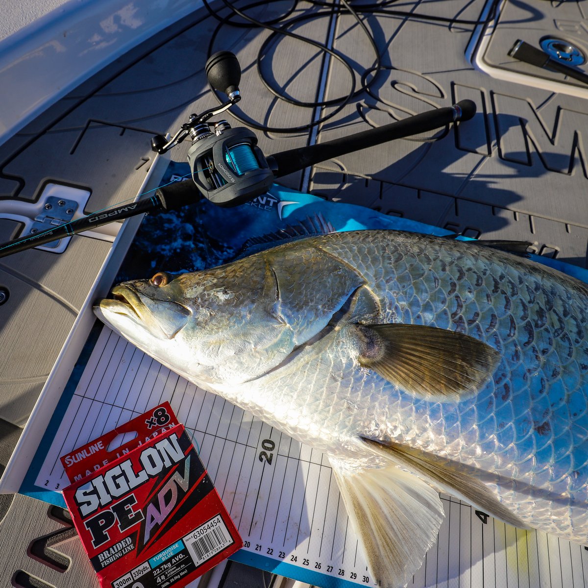 Dean Silvester on X: Swimbait rods and power handles, i don't think