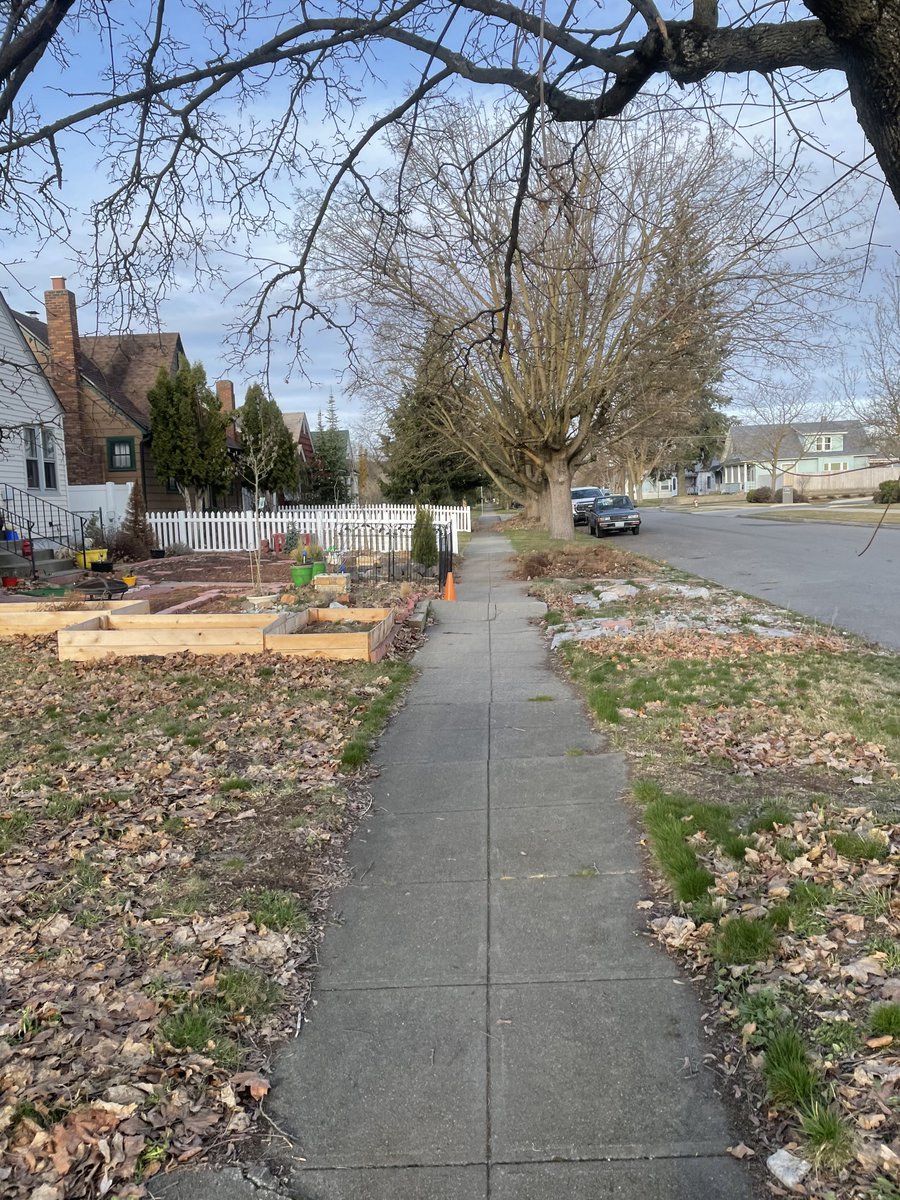 WritingManzoni's tweet photo. New poem! "First Day of Spring 2021" ๐ฑ plus a little peek at what I've been writing today in my upcoming sci-fi novel.
https://t.co/nawggW2zep
#amwriting #poetry #scifi #fiction #FirstDayOfSpring2021 https://t.co/RWVkZqIIgv