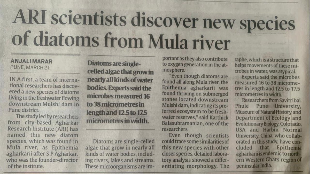 My new species discovery came in the news paper! 😊😊 

Link: google.com/amp/s/indianex…