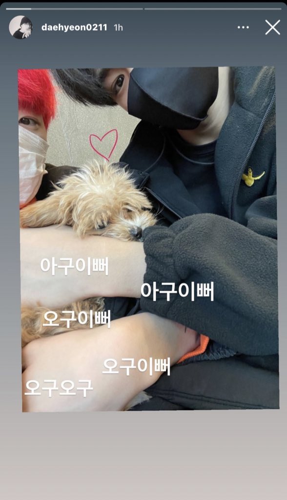 puppy🥺🥺🥺🥺