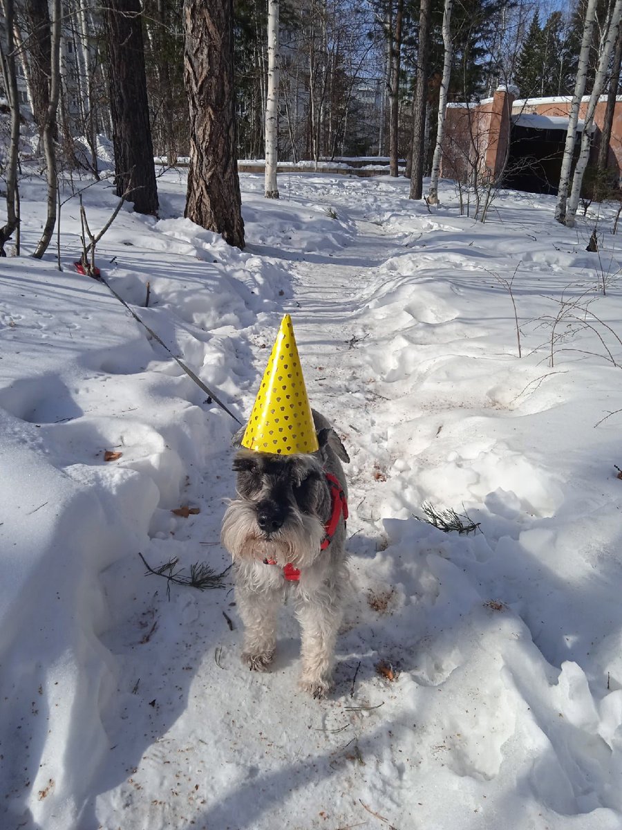 moonprismkiller's tweet photo. Моя бабушка сделала эту фотографию, чтобы поздравить меня с днем рождения. Я плачу 😭 https://t.co/kjrvtUtbJB
