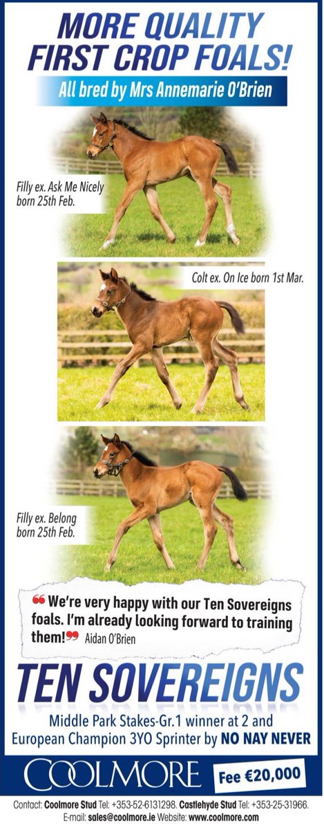theTDN's tweet photo. More quality first foals for Ten Sovereigns (@coolmorestud). https://t.co/2H7CuN69nB